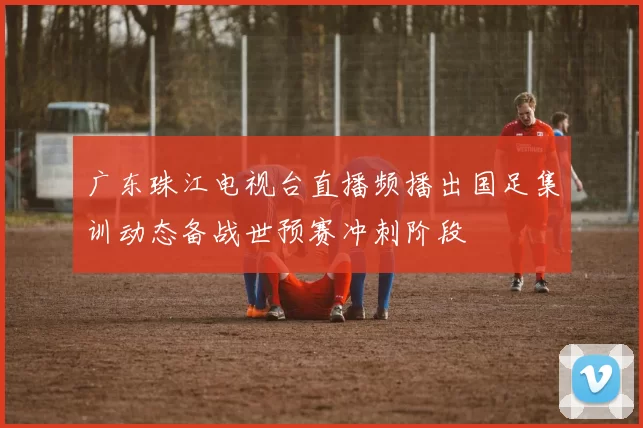 广东珠江电视台直播频播出国足集训动态备战世预赛冲刺阶段