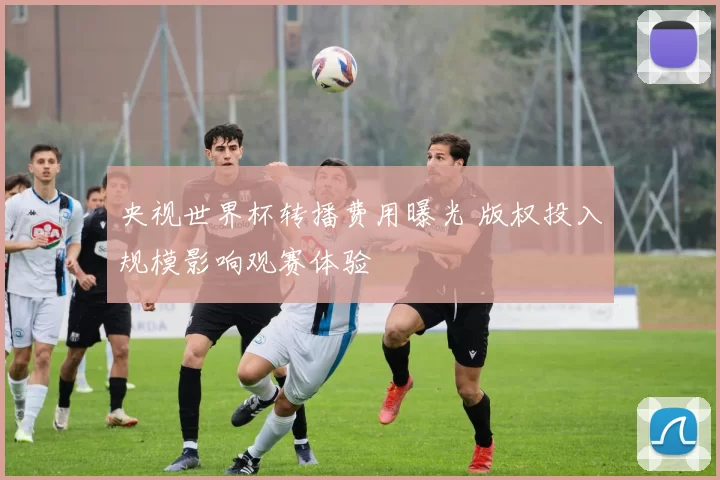 央视世界杯转播费用曝光 版权投入规模影响观赛体验